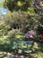 Wollongong Botanic Gardens Public Day Tour Image -5da6530683b92